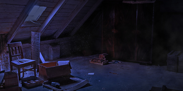 Secret Attic Society!